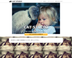 CAT STUDIO
