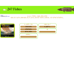 247 Fishes