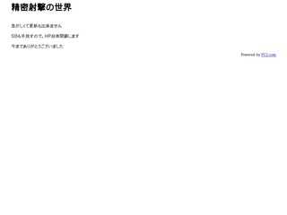 精密射撃の世界