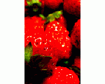 Strawberry Cream