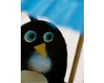 Aerie* Birds