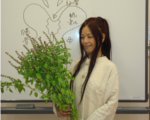 真善美