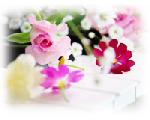 Flower Room 　?あなたに幸せになってほしい?