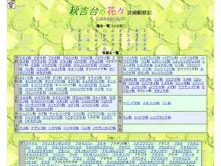 秋吉台の花々