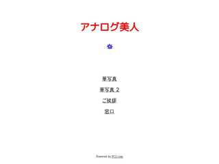 アナログ美人