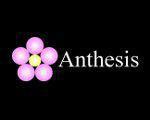 Anthesis