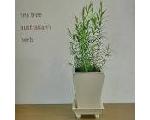 リラクゼーション サロン ?Tea tree?