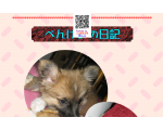 べんけいの日記
