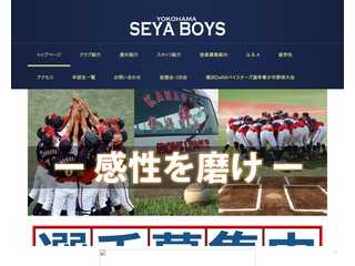横浜瀬谷ボーイズ公式Webサイト