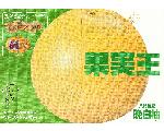 JAやつしろ　八代市果樹部会
