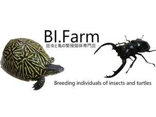 BI.Farm