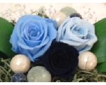 Blue Rose