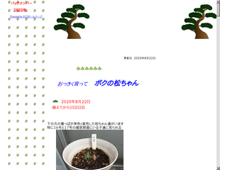 ボクの松ちゃん