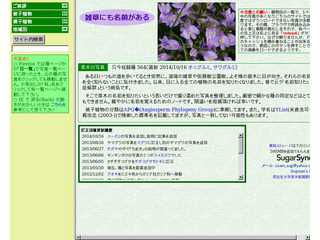 草木と旅の写真