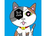 広域指定暴ねこ団　総本部