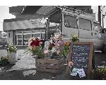 花　フラワーギフトなら　おはなやさんBaby tears　茨城県 ひたちなか市　水戸市　那珂市　