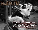 町田ＢｕｌｌＢａｒ