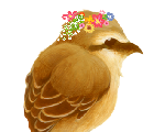camonoco