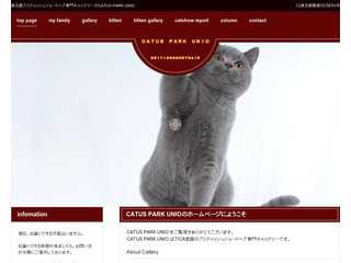 ブリティッシュショートヘア専門キャッテリーCATUS PARK UNIO