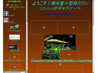 ようこそ！南米小型珍カラシンのギャラリーへ　FC2