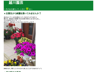 千葉県旭市 越川園芸