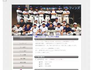 千葉大学軟式野球サークル ドルフィンズ