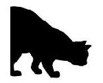 とある黒猫の現実逃避