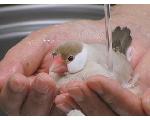 シナモンズの部屋
