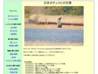 日本のチュウヒの生態