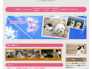 ココニャン一家の縁結び〜収容犬猫の命をつなげ