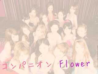 コンパニオン flower 