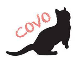 痛みや身体の不調を取り除く専門治療院　COVO