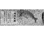 播州黒組