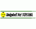 Dodgeball Net TOYAMA