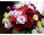 Fashionブランド＊★DOLCE di cuore★＊