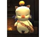 meoto観察日誌。