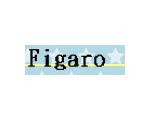 日本福祉大学アカペラサークルFigaro