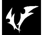 Free Flow surf & snow shop