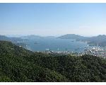 藤川浩明のへっぽこクワガタ採集記