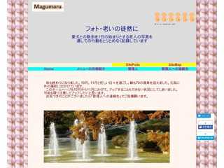 フォト・老いの徒然