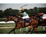 German Racing ?ドイツ競馬?