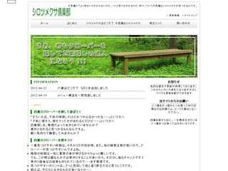 四葉のクローバーを探そう！【シロツメクサ倶楽部】