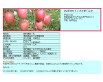 ＧＳＡ安全なりんごを育てる会