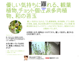 優しい気持ちになれる、観葉植物,チョット個性派多肉植物、和の苔玉