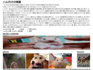 ハムジロウの部屋