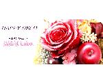 Happy Deco by M&Y Labo.