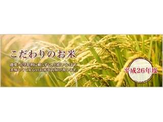無農薬米　セール