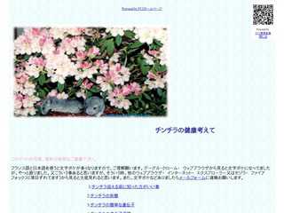 チンチラの健康考えて