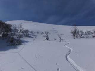 髭じじーの山便り！2