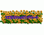 ひまわりショッピングモール